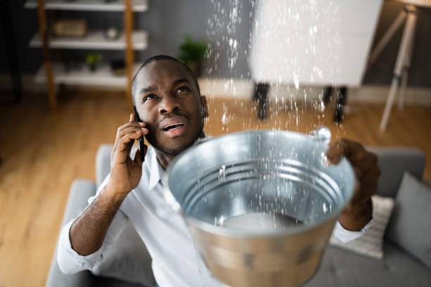 Best Water damage restoration services  in Rosedale, WA