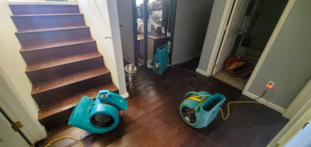  Rosedale, WA Water damage restoration Pros