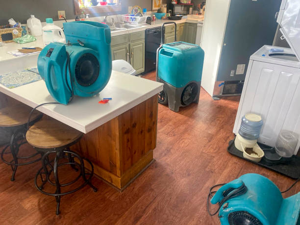 Best Professional water damage repair  in Rosedale, WA