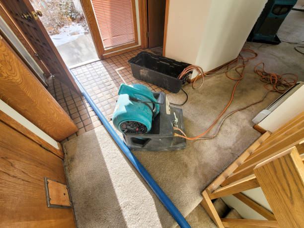 Best Local water damage restoration  in Rosedale, WA