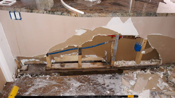 Best Professional water damage repair  in Rosedale, WA