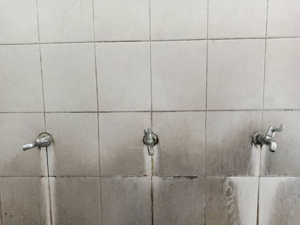Reliable WA Water damage restoration Solutions