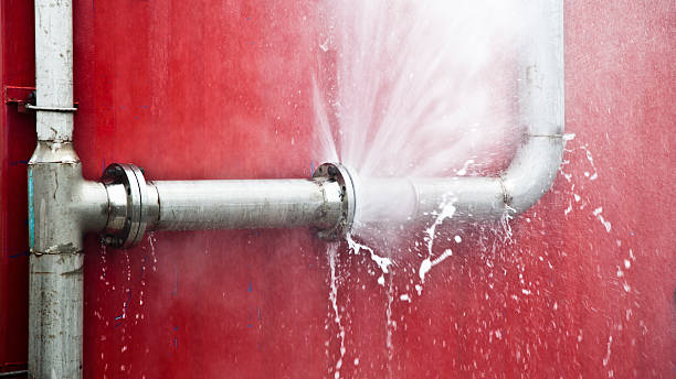 Best Water damage cleanup near me  in Rosedale, WA